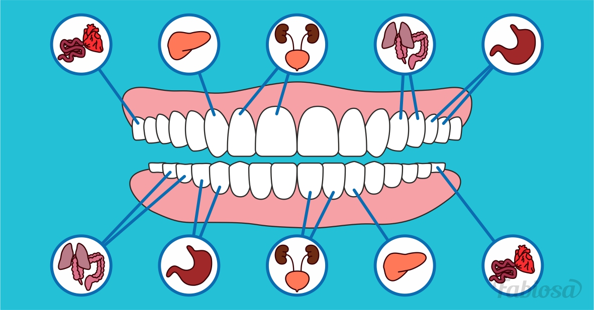 Os dentes e outros órgãos